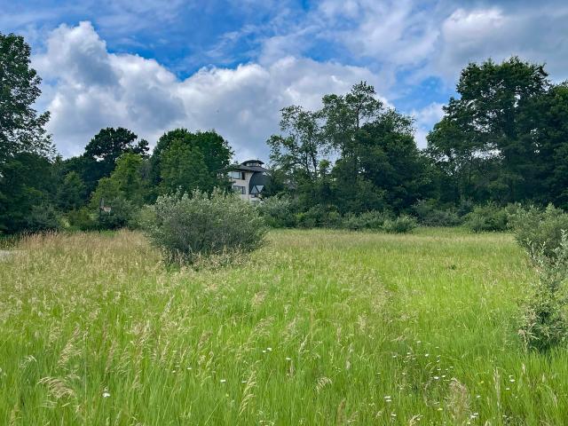 Land for sale in Wisconsin