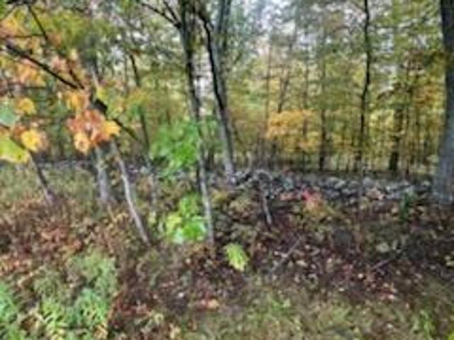 Land for sale in Greenville, New York