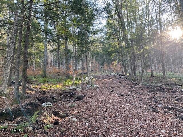 Land for sale in Essex, New York