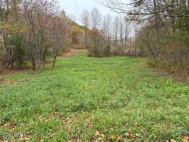 Land for sale in Comstock, New York