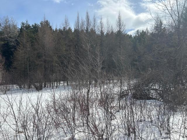 Land for sale in Essex, New York