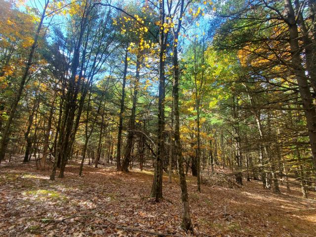 Land for sale in Kinderhook, New York