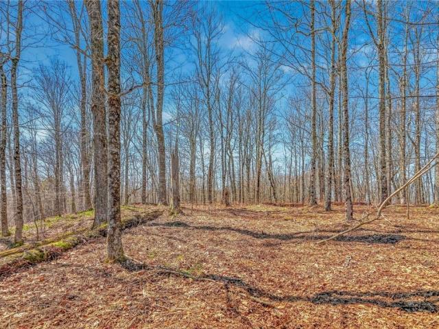 Land for sale in Davenport, New York
