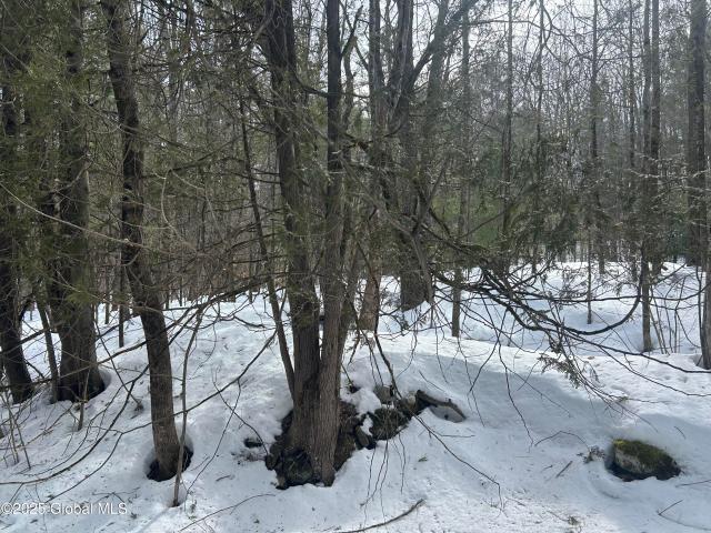 Land for sale in Essex, New York