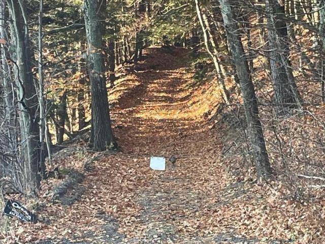 Land for sale in Middleburgh, New York