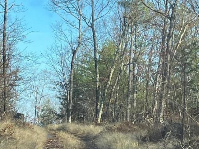 Land for sale in Middleburgh, New York