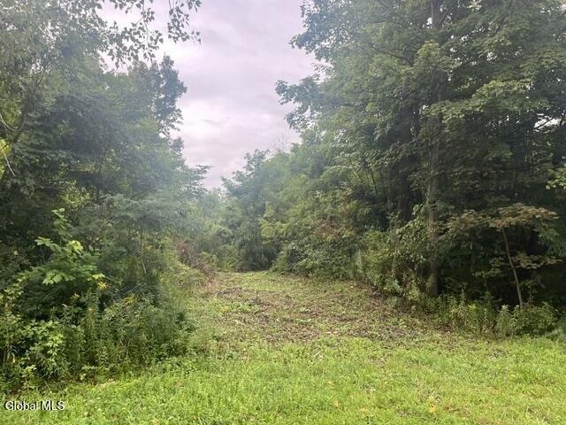 Land for sale in City of Amsterdam, Montgomery County