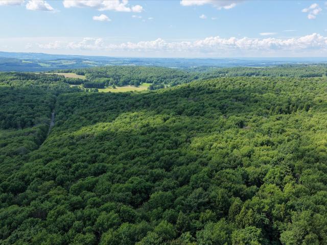 Land for sale in Oneida, New York
