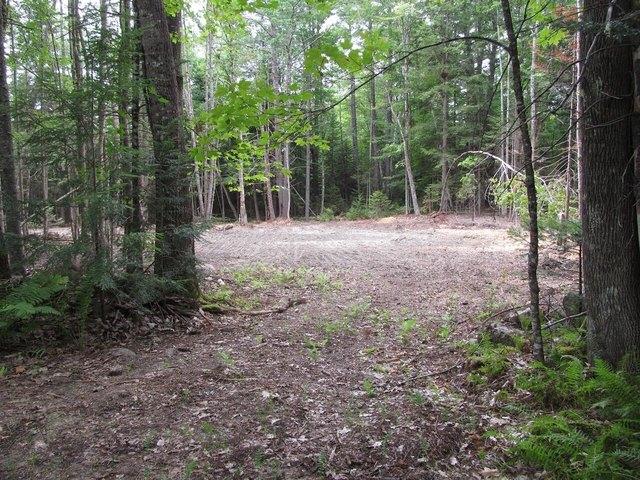 Land for sale in Oxford, Maine