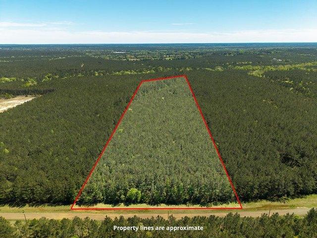 Land for sale in San Augustine, Texas