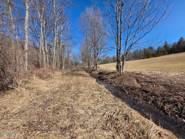 Land for sale in Sharon Springs, New York