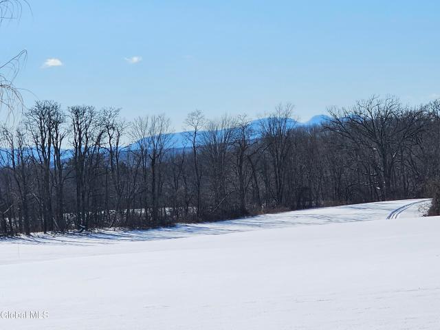 Land for sale in Schodack Landing, New York
