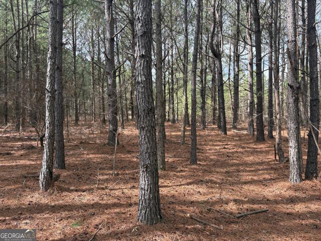 Land for sale in Keysville, Georgia