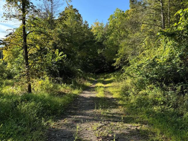 Land for sale in Hannacroix, New York