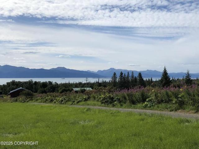 Land for sale in Homer