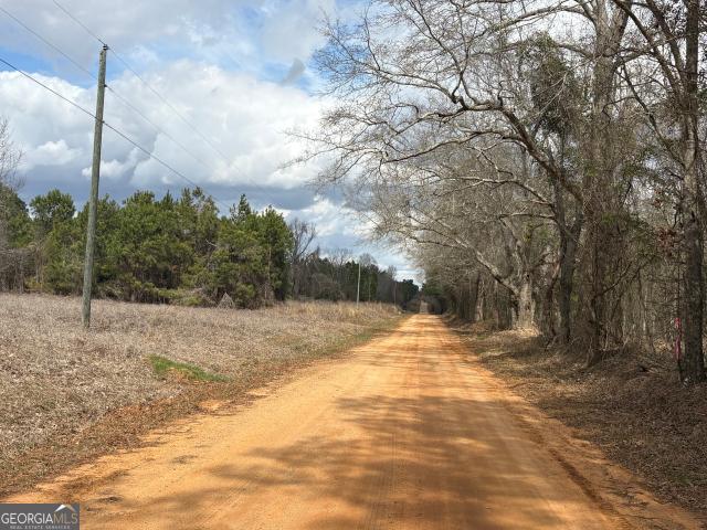 Land for sale in Keysville, Georgia