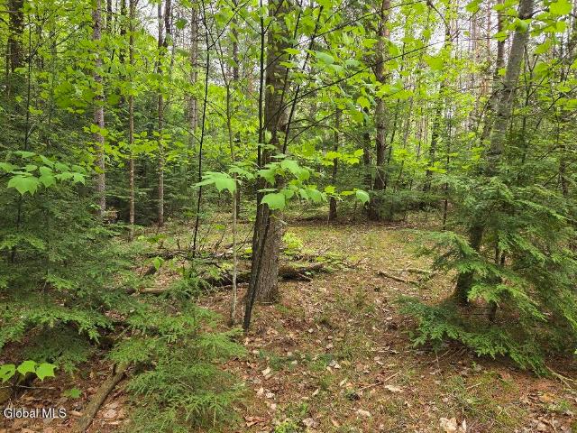 Land for sale in New York