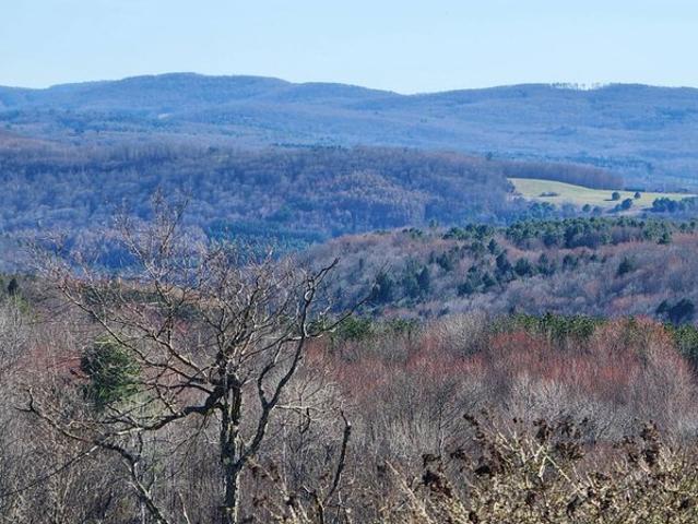 Land for sale in East Worcester, New York