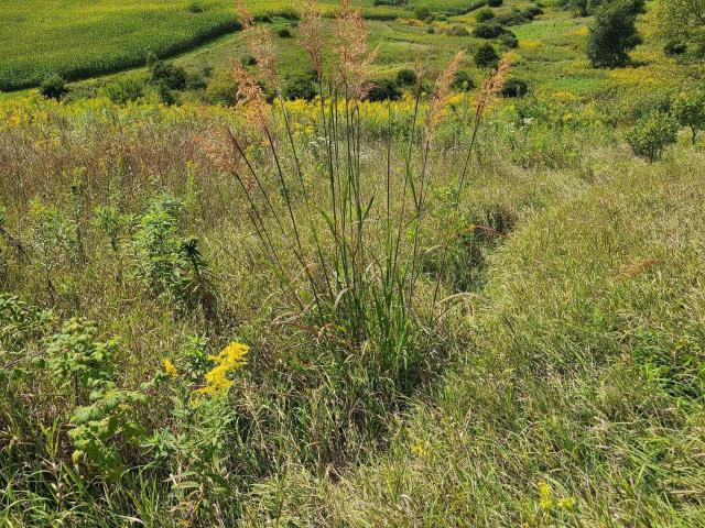 Property for sale in Blanchardville, Wisconsin