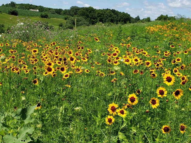Property for sale in Blanchardville, Wisconsin