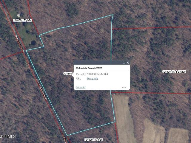 Land for sale in East Nassau, New York