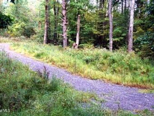 Land for sale in Town of New Lebanon, Columbia County