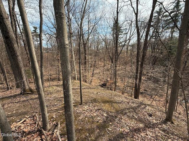 Land for sale in Rensselaer, New York