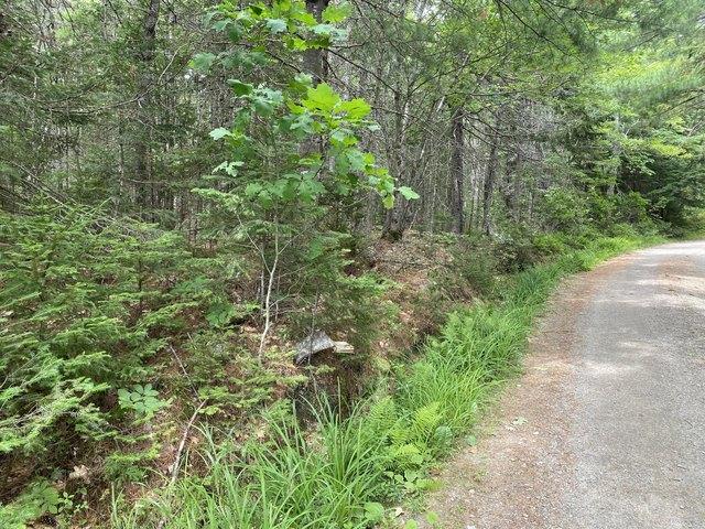 Land for sale in Blue Hill, Maine