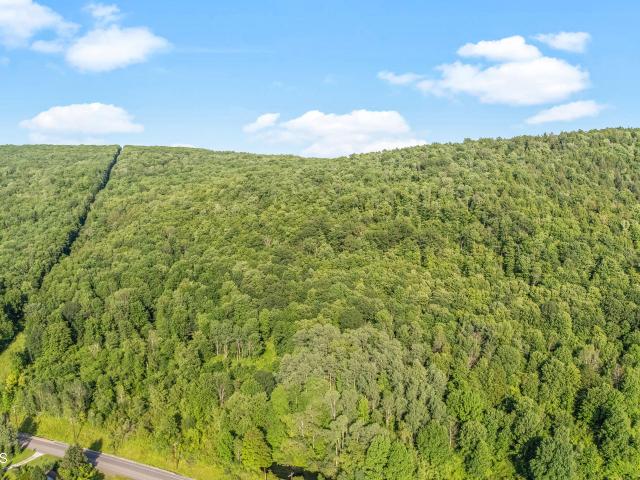 Land for sale in Mc Donough, New York