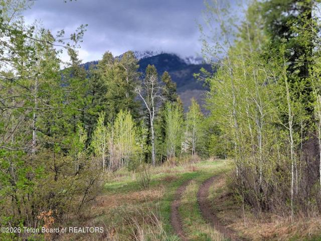 Land for sale in Irwin, Idaho