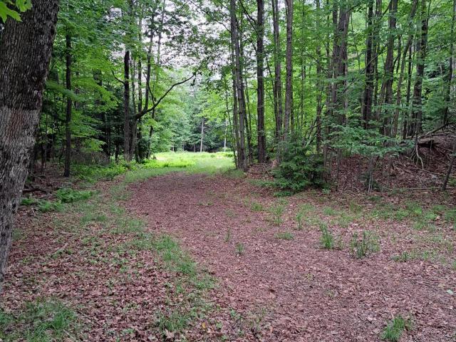 Land for sale in Middle Grove