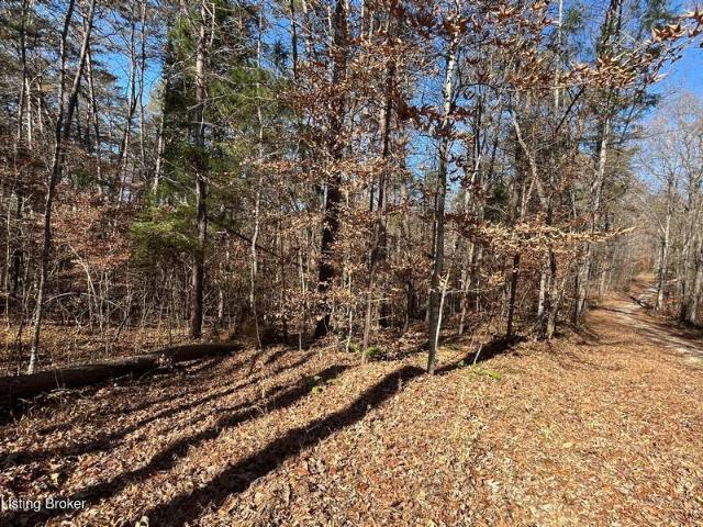 Land for sale in Clarkson, Kentucky
