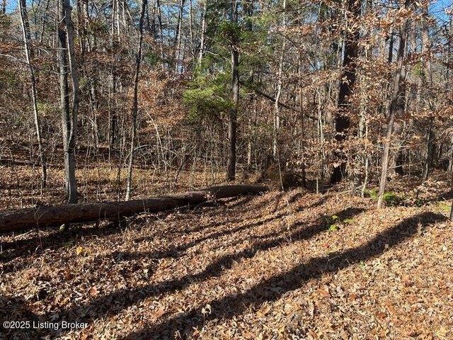 Land for sale in Clarkson, Kentucky