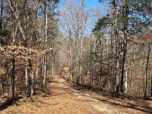Land for sale in Skaggstown, Clarkson