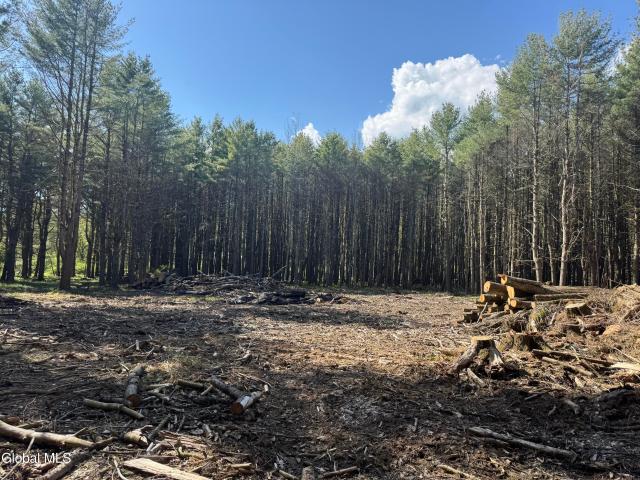 Land for sale in Cooperstown, New York