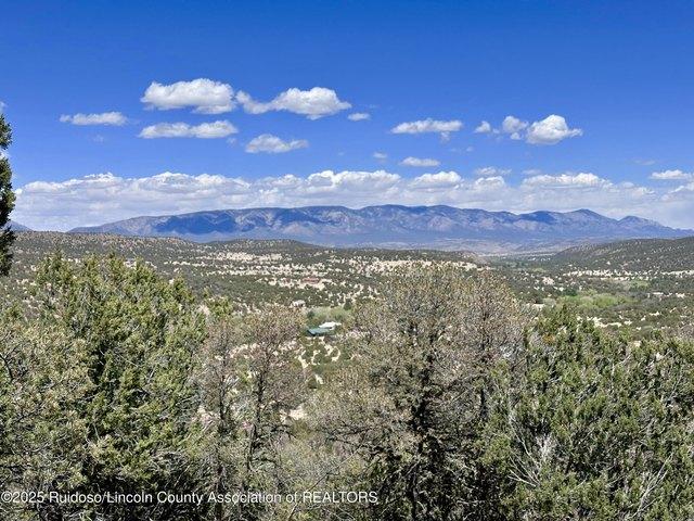 Land for sale in New Mexico