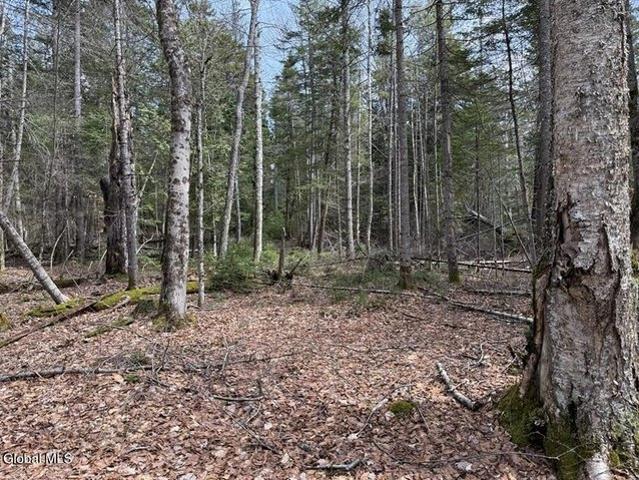 Land for sale in Essex, New York