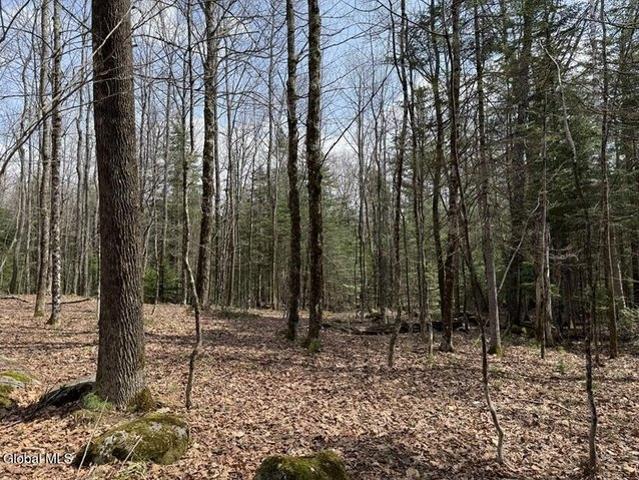 Land for sale in Essex, New York