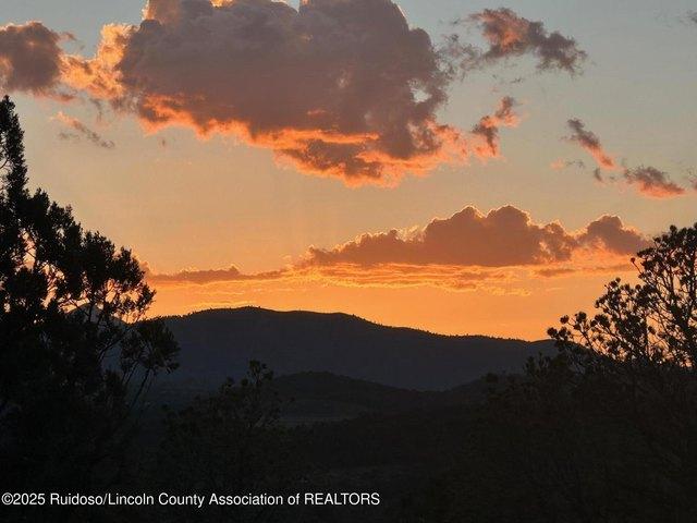 Land for sale in New Mexico