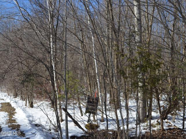 Land for sale in Chazy, New York