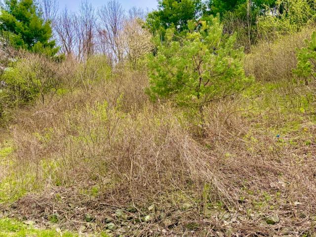 Land for sale in Castleton On Hudson, New York