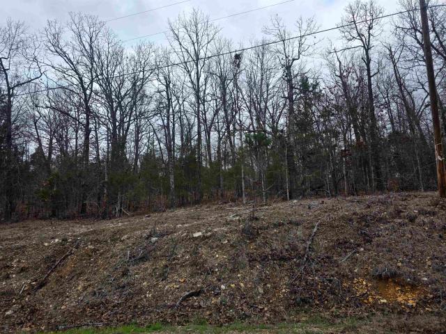 Land for sale in Ark