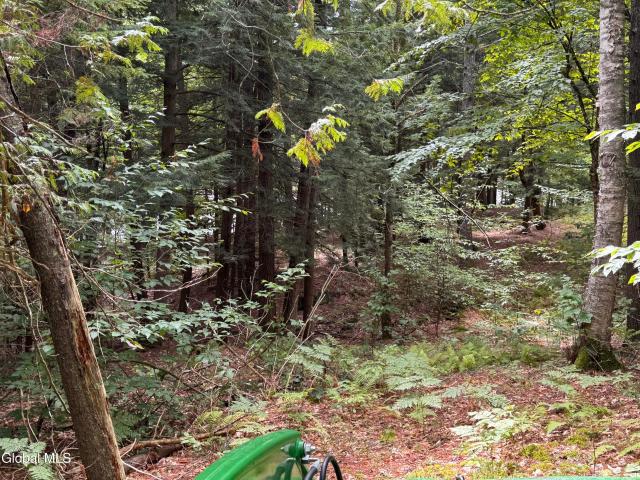 Land for sale in Essex, New York