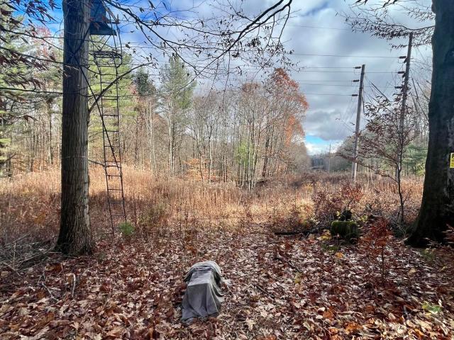 Land for sale in Ward 2, Gloversville