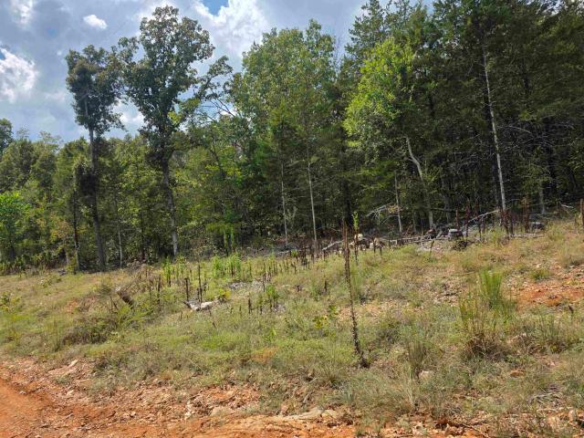 Land for sale in Ark