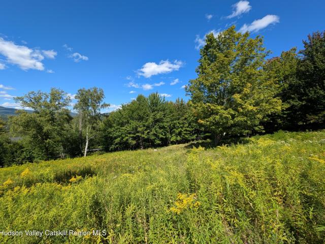 Land for sale in Ashland, New York