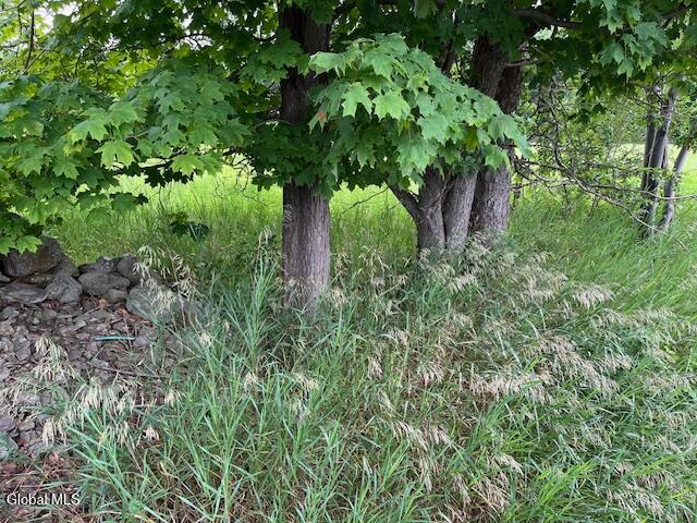 Land for sale in Jefferson, New York
