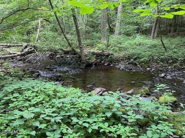Land for sale in Harpersfield, New York