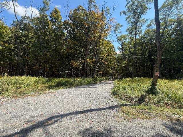 Land for sale in Westerlo, New York