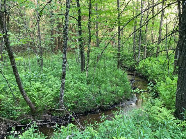 Land for sale in Essex, New York